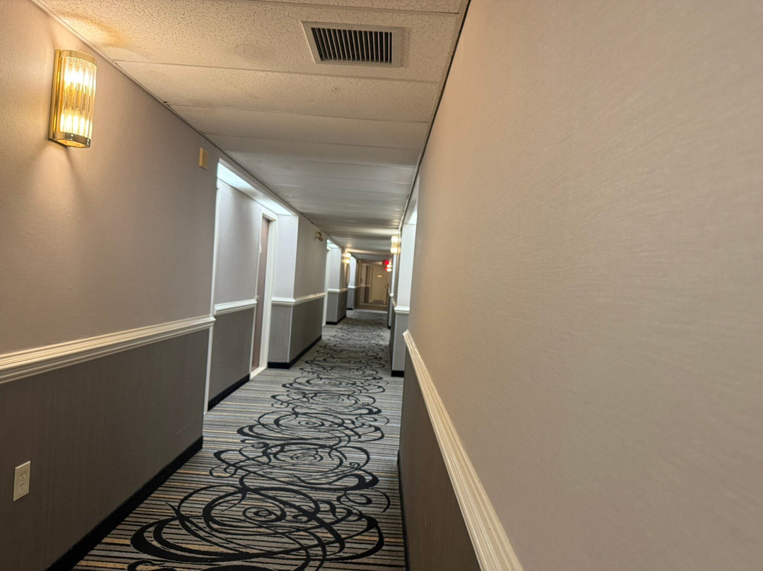 Monte Carlo Inn - Oakville Suites主图