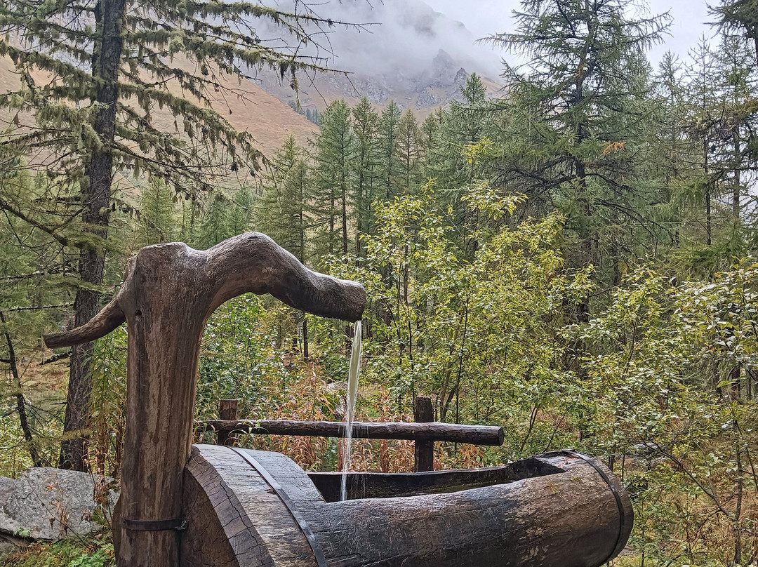 Lago Pellaud景点图片