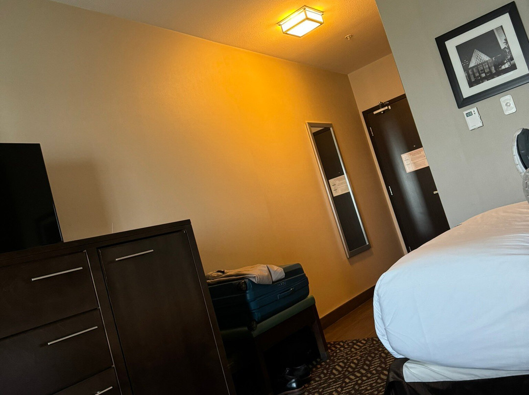 Holiday Inn Express & Suites Spruce Grove - Stony Plain By IHG主图