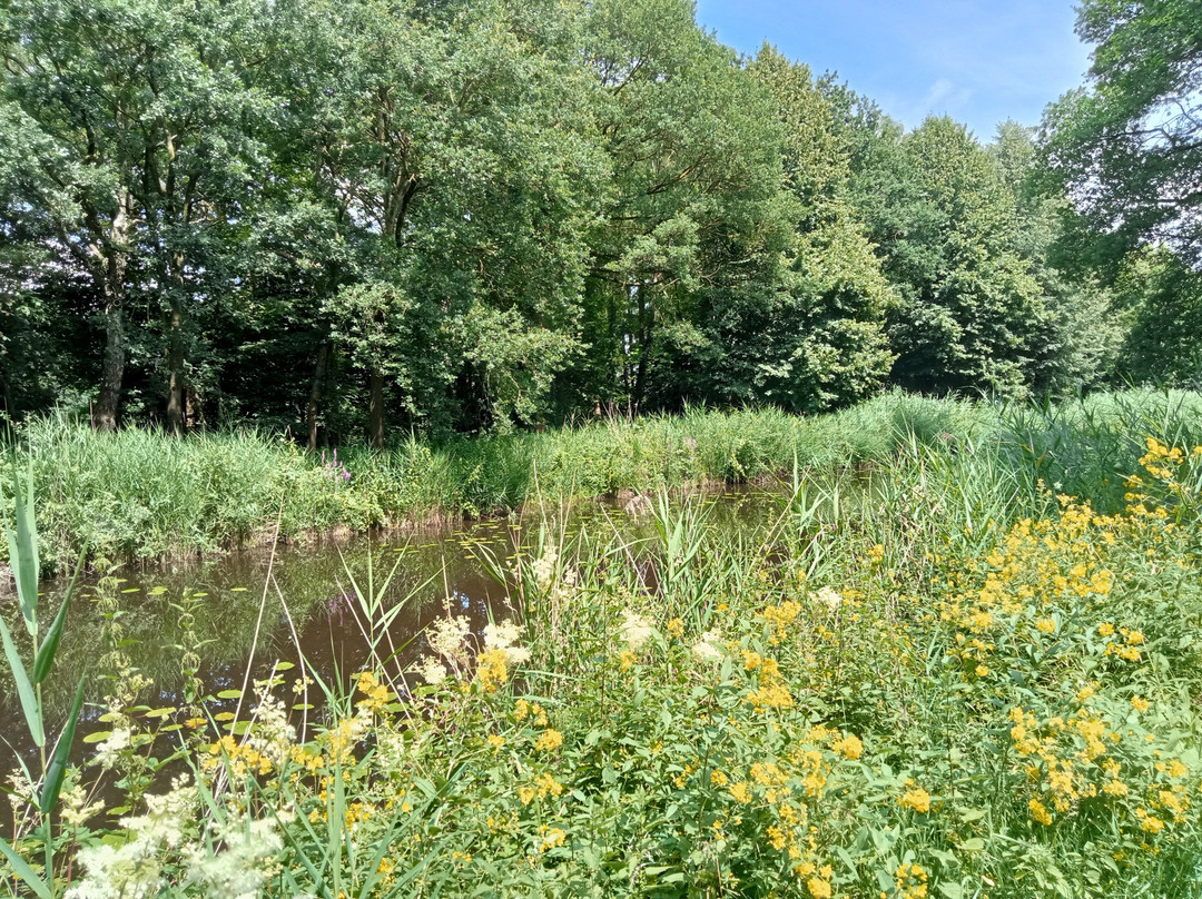 Coevorden-picardie Kanal景点图片
