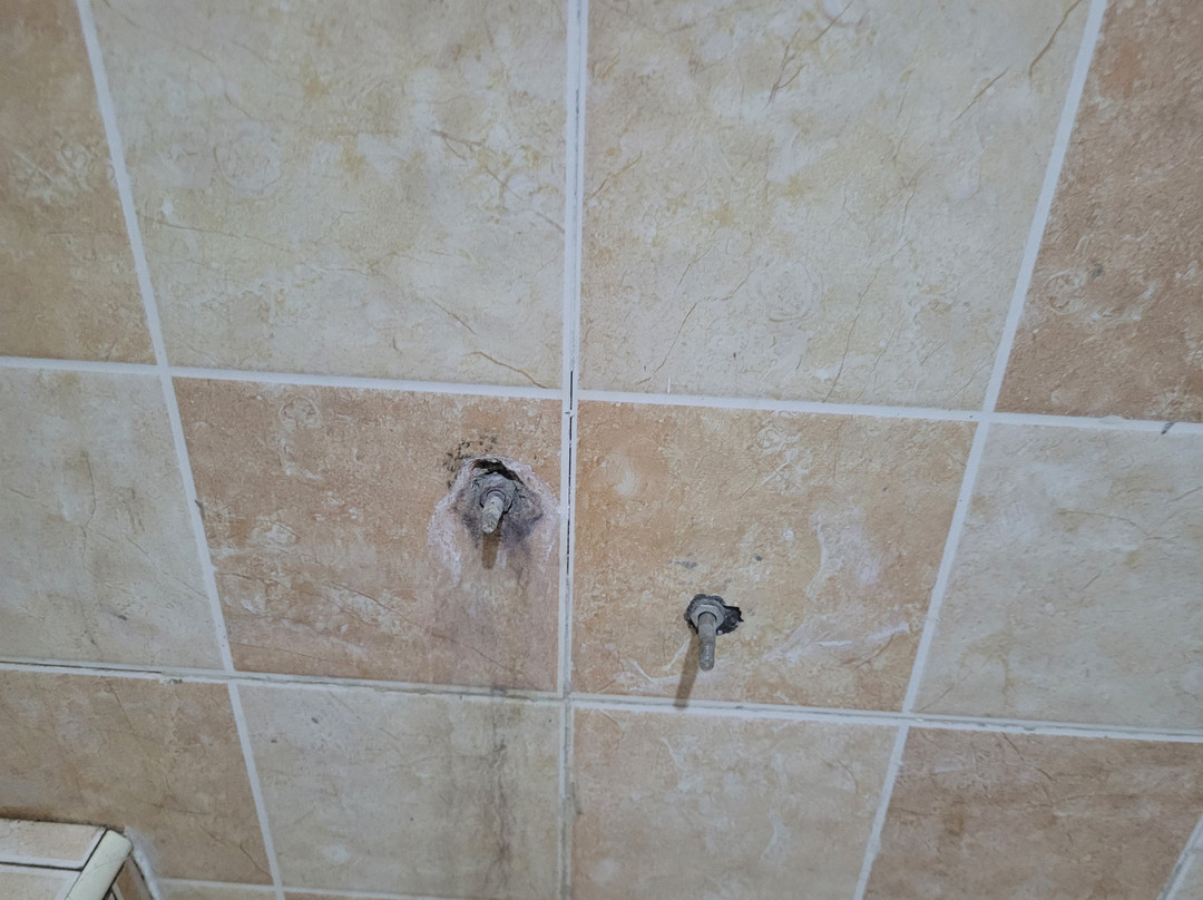 Masailand Safari & Lodge主图