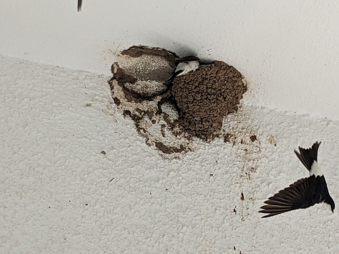 Kalloni Bay Hotel主图