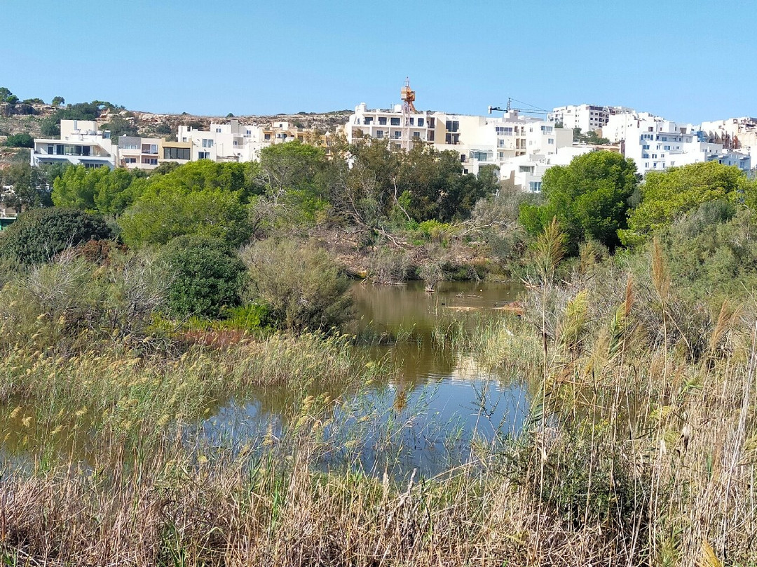 Simar Nature Reserve-Xemxija必去景点