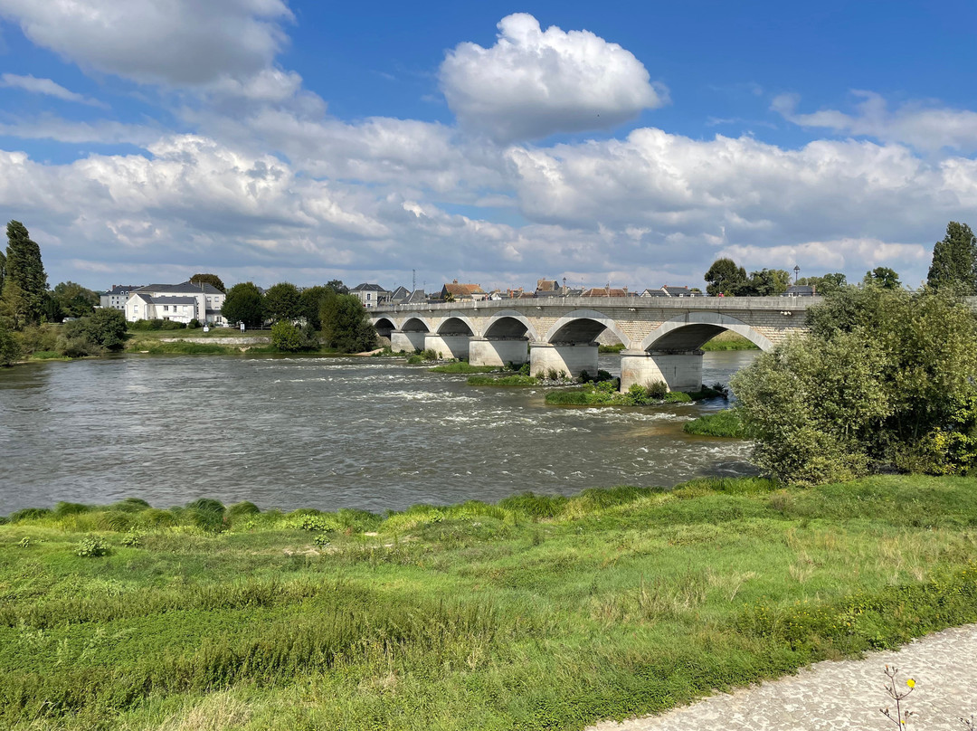 Pont Du Maréchal Leclerc景点图片