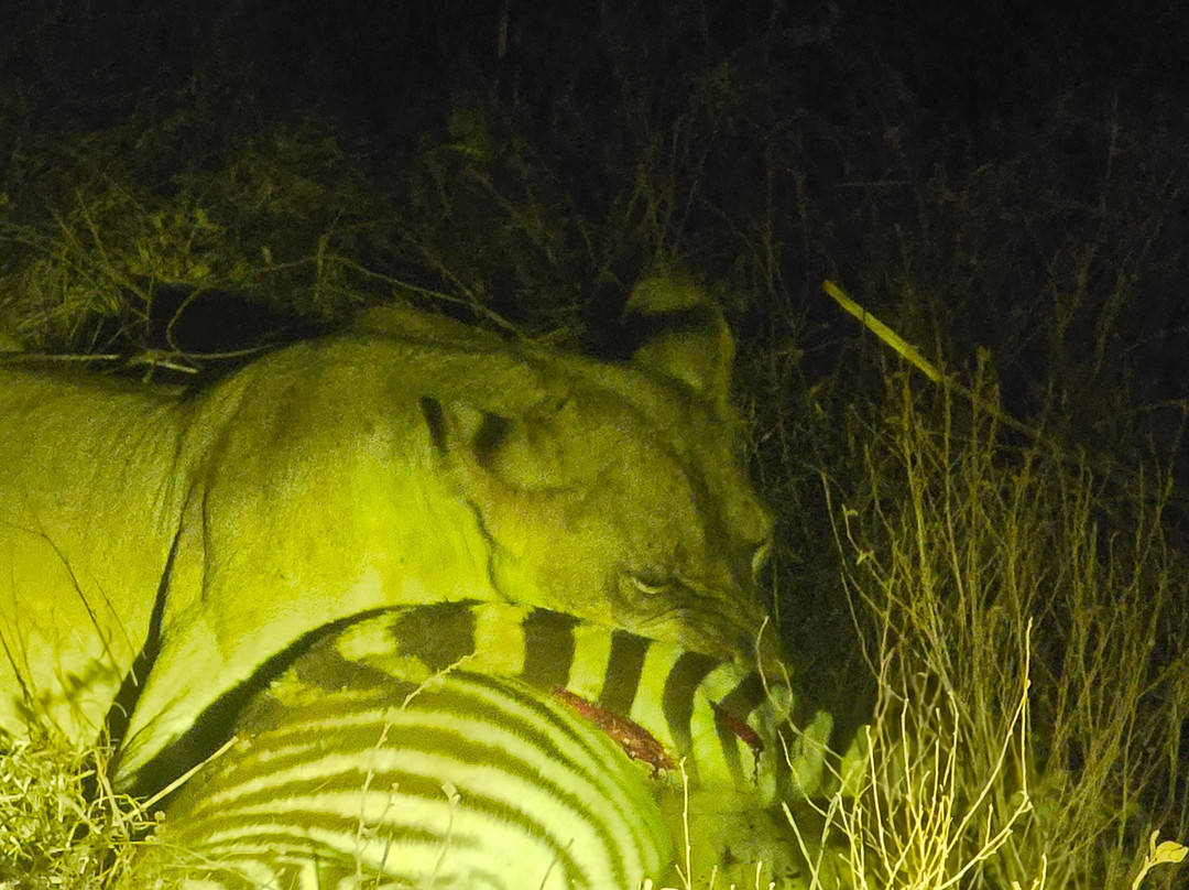 Taita Hills Wildlife Sanctuary景点图片