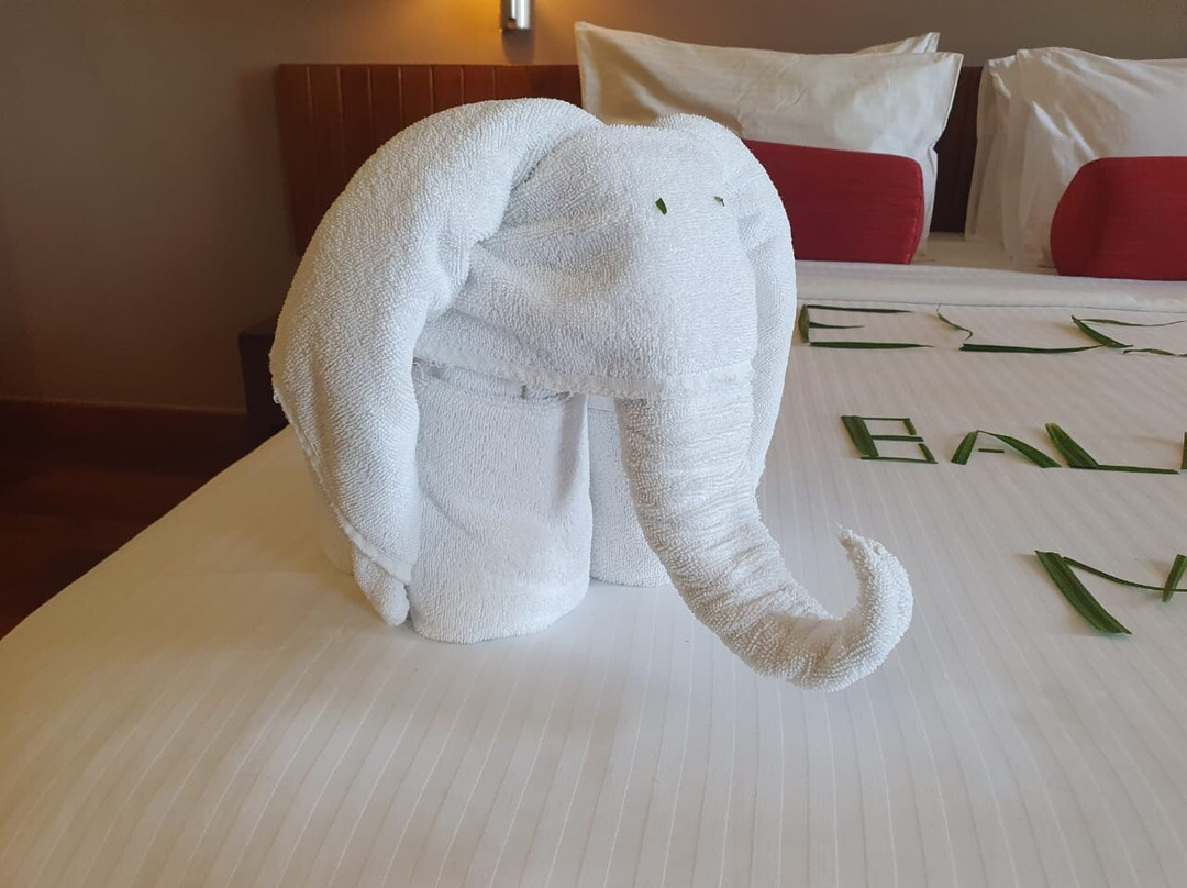 艾特肯史宾斯金沙酒店主图