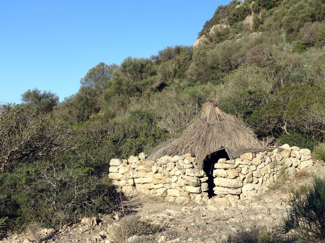 Parque Arqueologico Puig de Sa Morisca景点图片