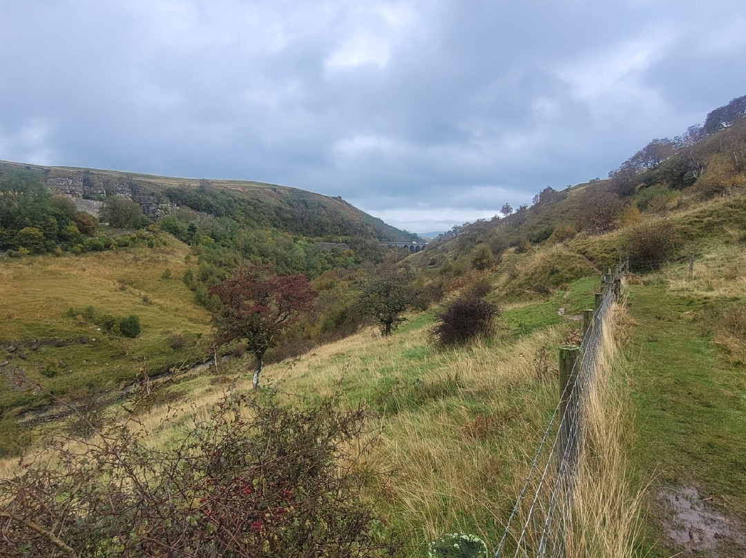 Smardale Gill Nature Reserve景点图片