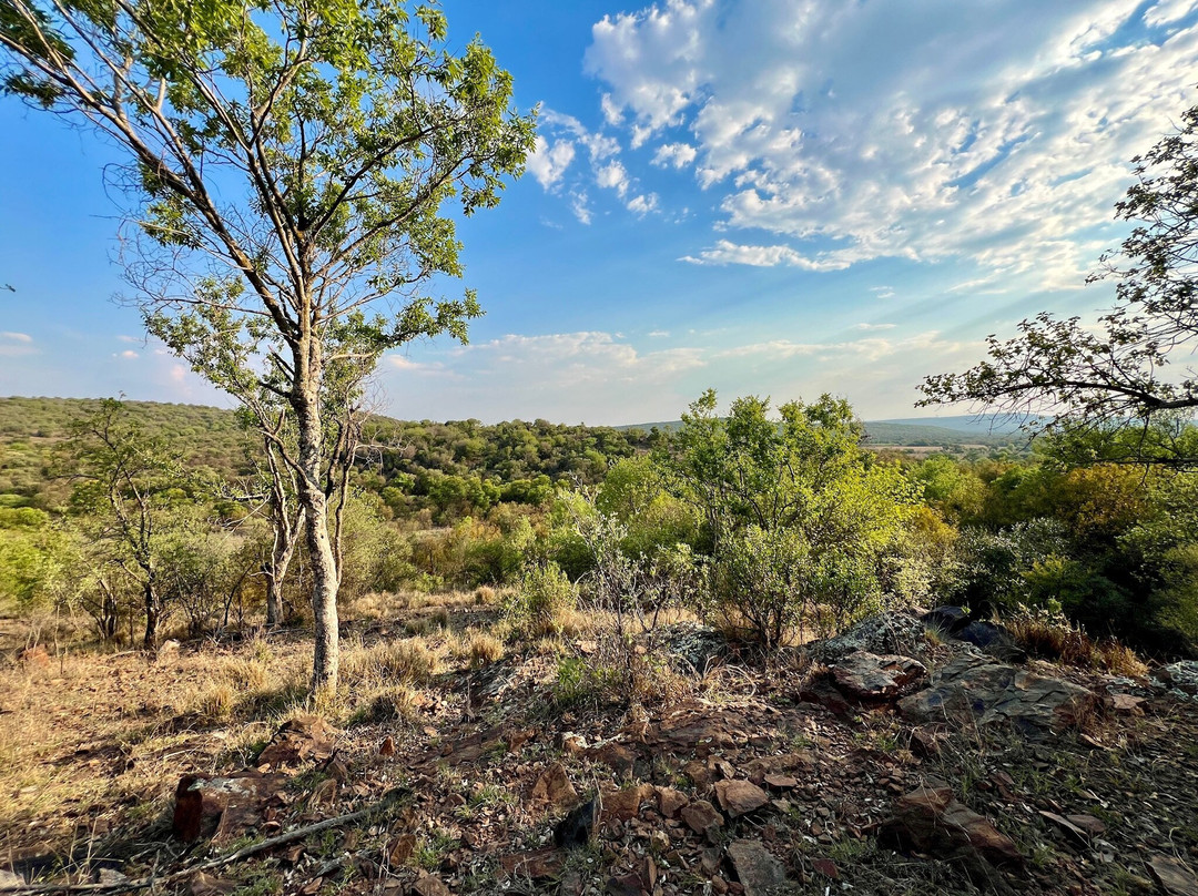 Swartruggens酒店住宿-Rustenzicht Lodge and Wedding Venue