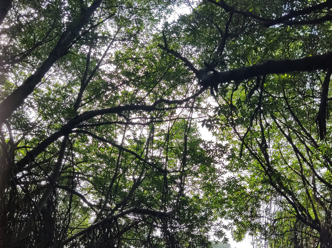 Sunshine Water Sports Centre-Aluthgama必去景点