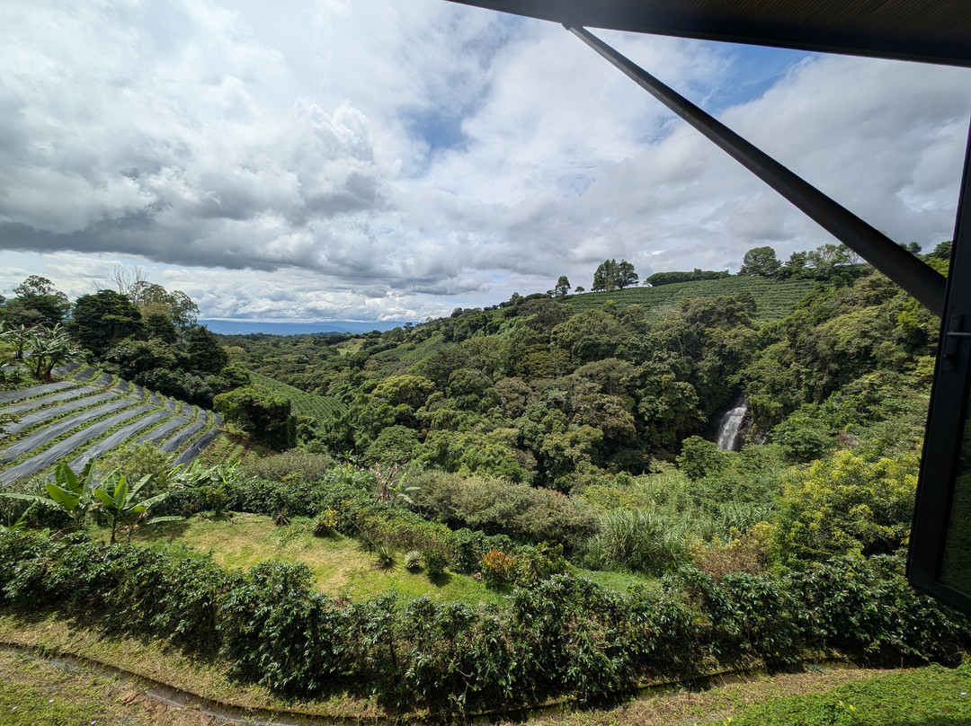 Hacienda Alsacia Starbucks Coffee Farm景点图片