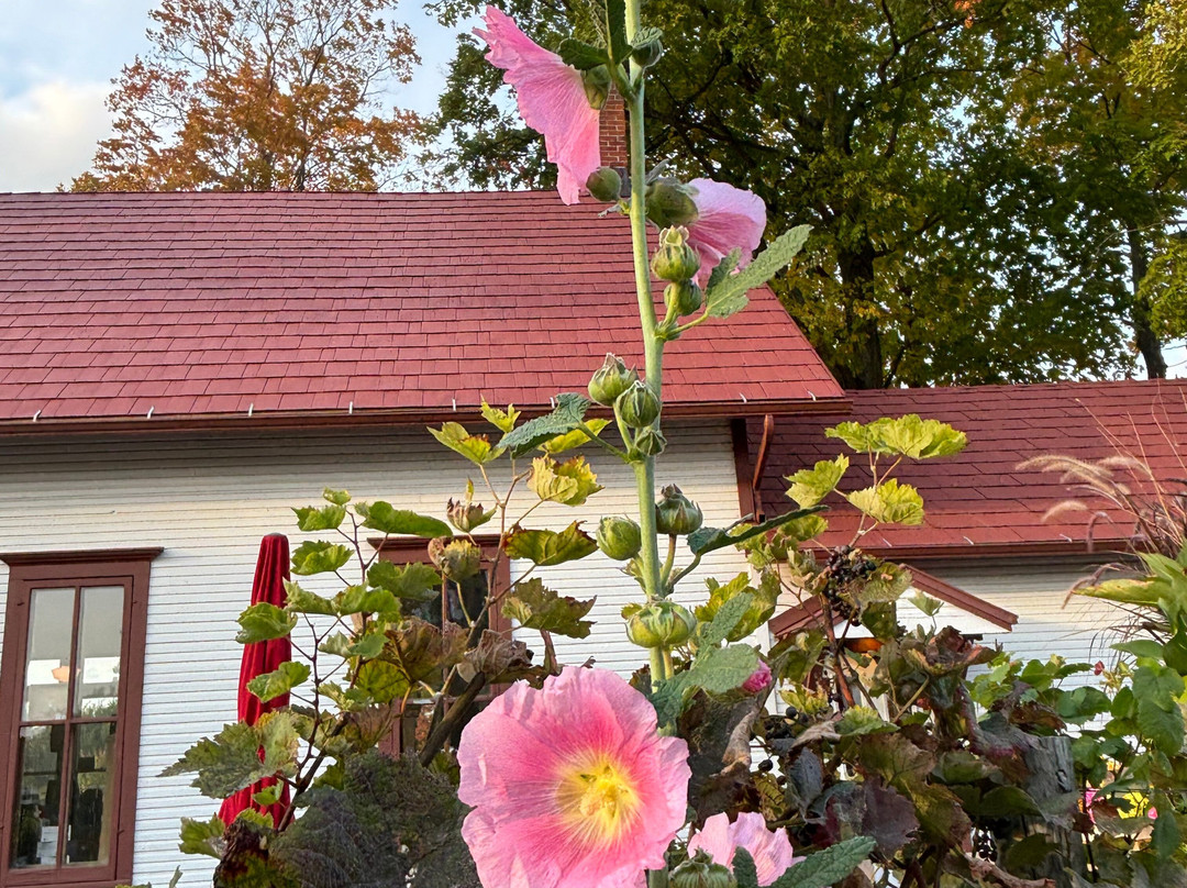 Peninsula Cellars-特拉弗斯城必去景点