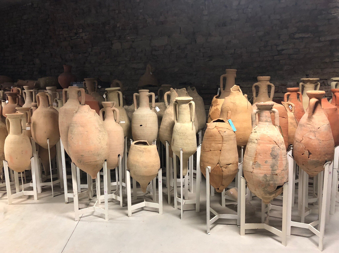 Museo Archeologico di Acqui Terme景点图片