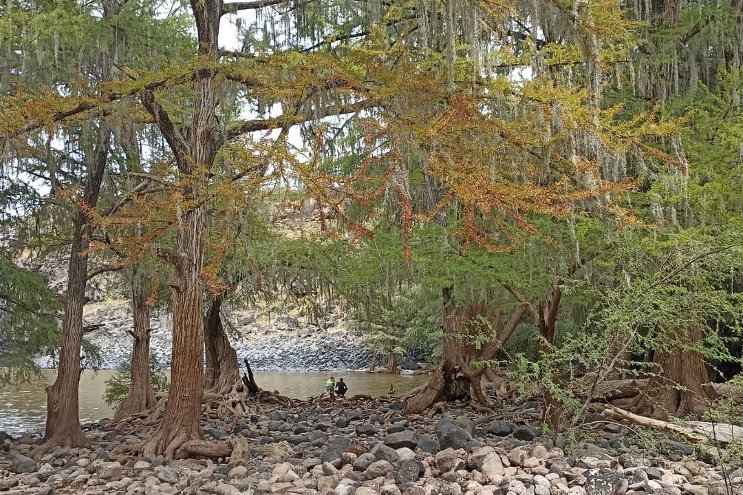 Cascada El Saltito景点图片