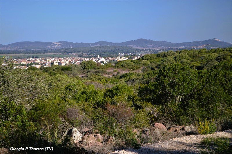 Complesso Megalitico di Monte Baranta-Olmedo必去景点