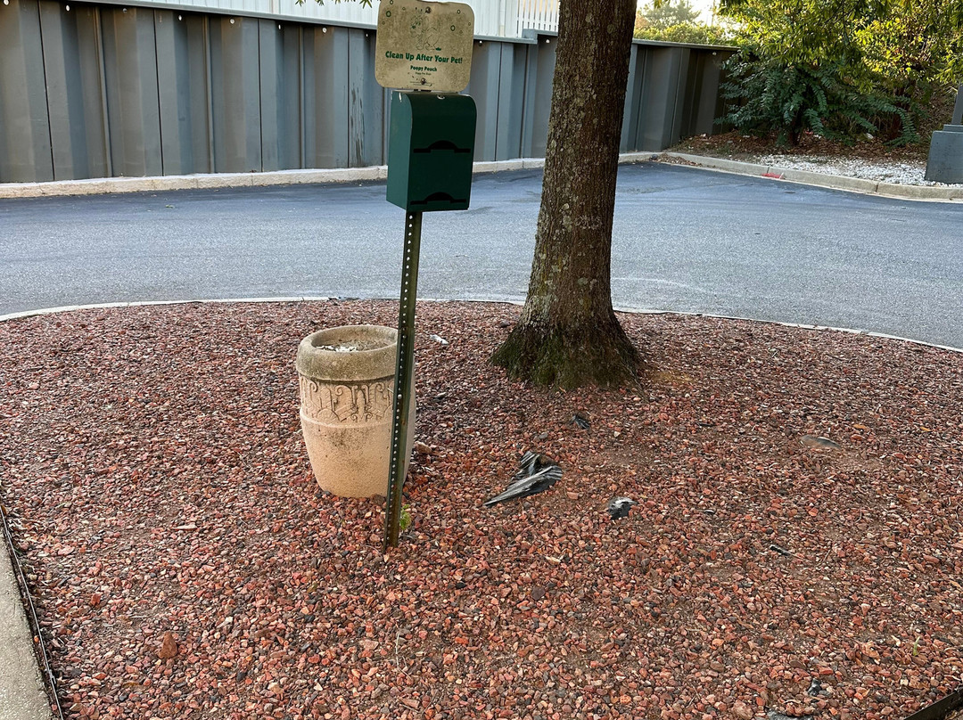 La Quinta Inn & Suites by Wyndham Mobile - Daphne主图