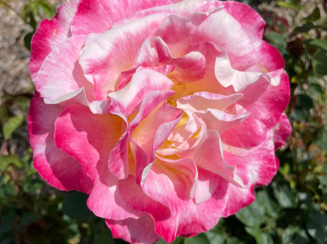 Heyfield Cemetery-Heyfield必去景点