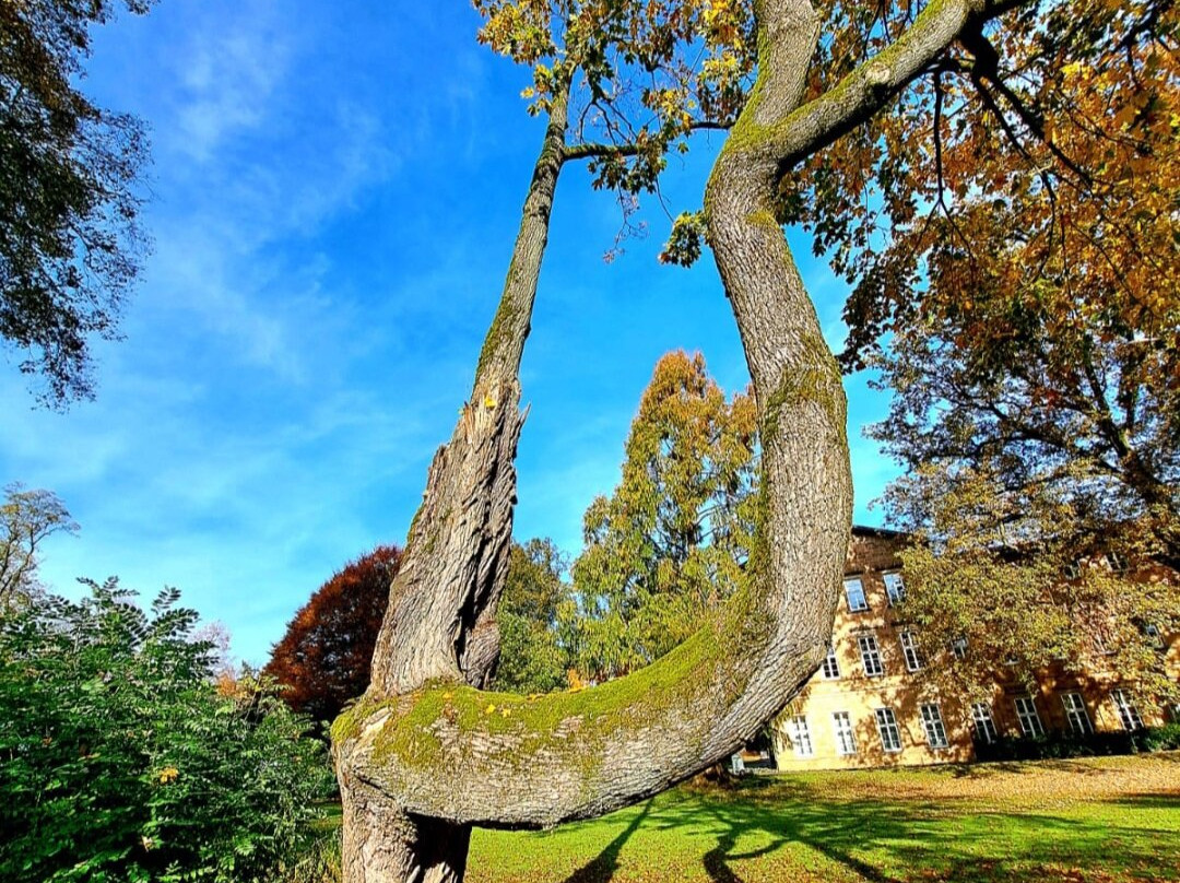 Gräeflicher Park Spa景点图片