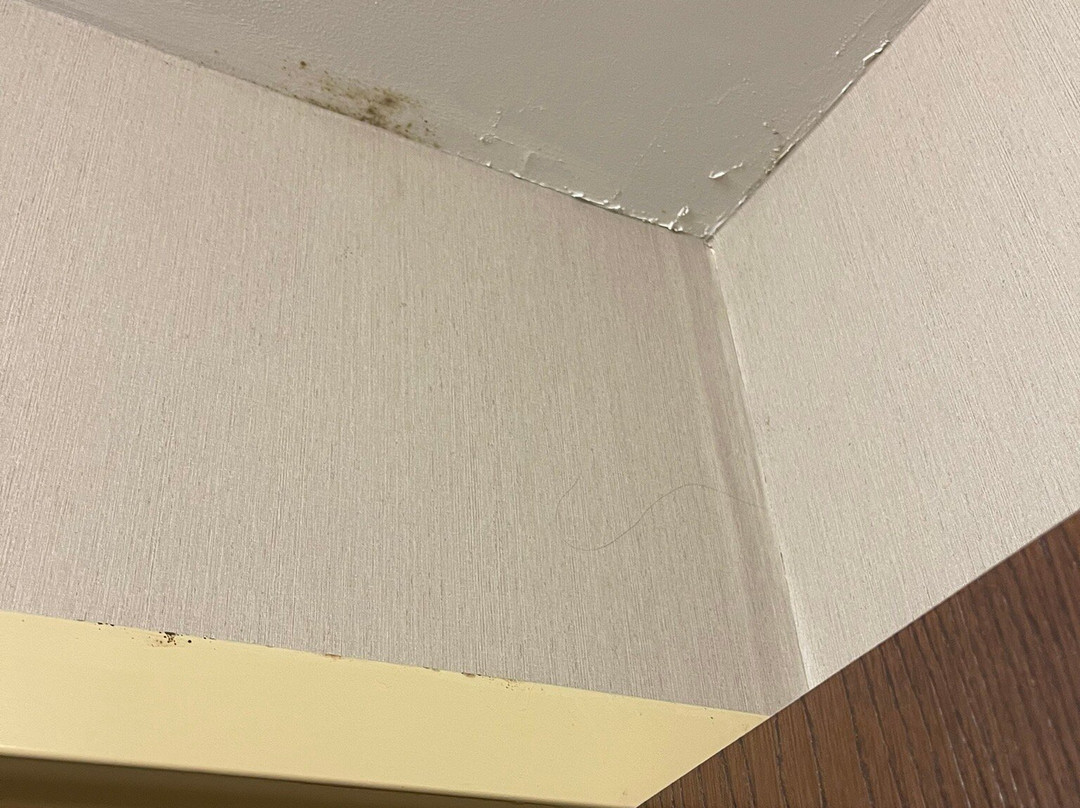 Hampton Inn Marshall主图