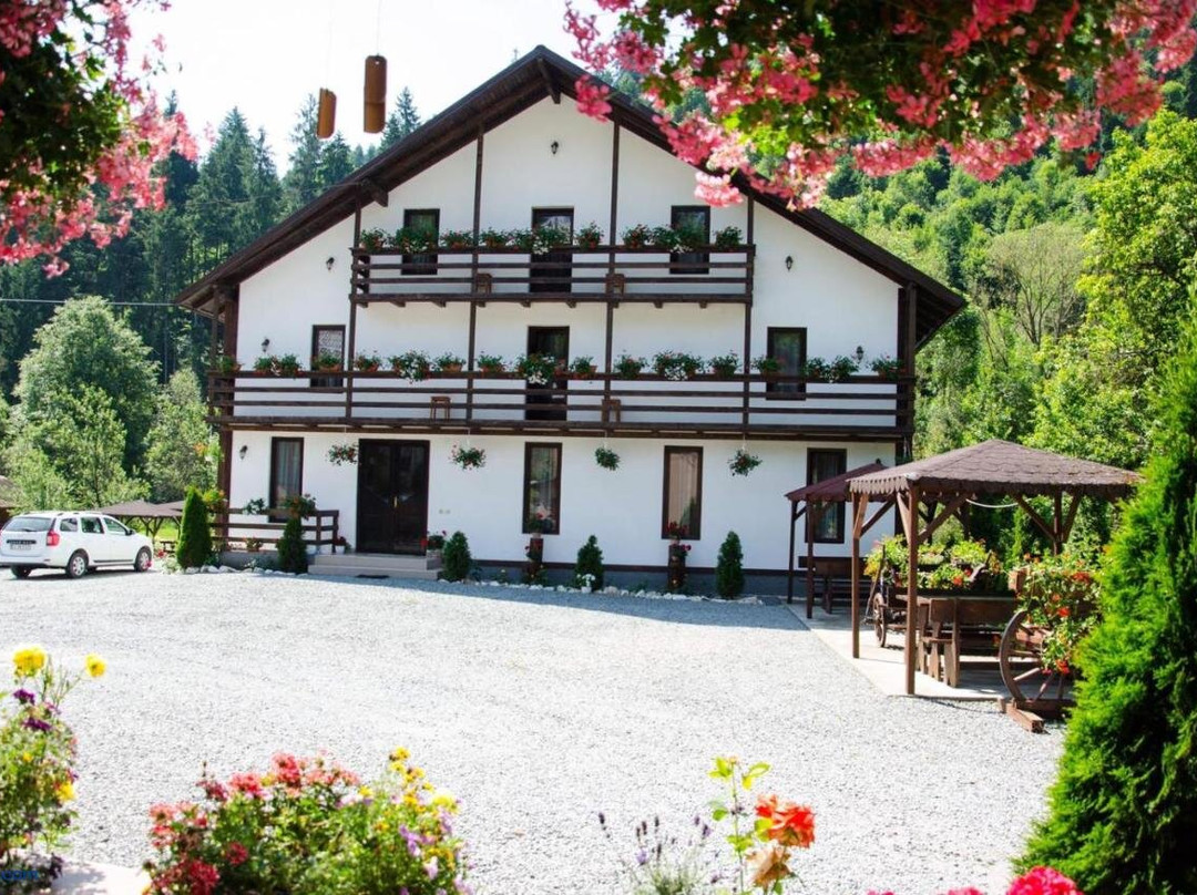 Casa Ursului