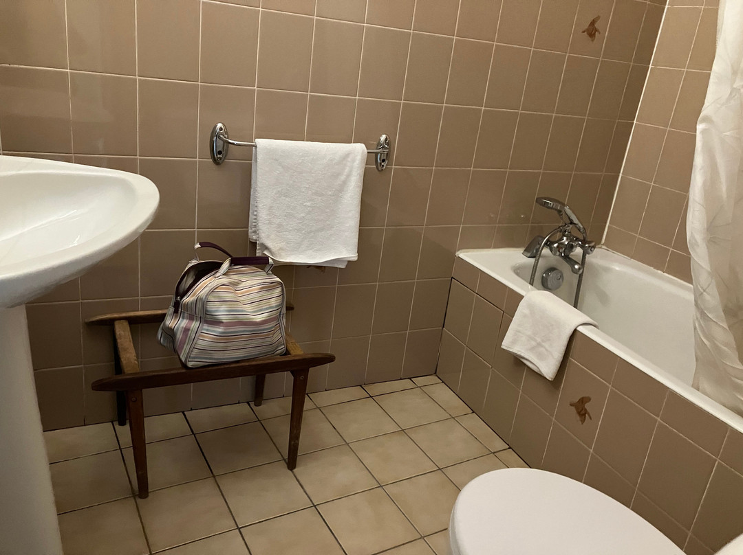 Hôtel Restaurant la Boule d'Or主图