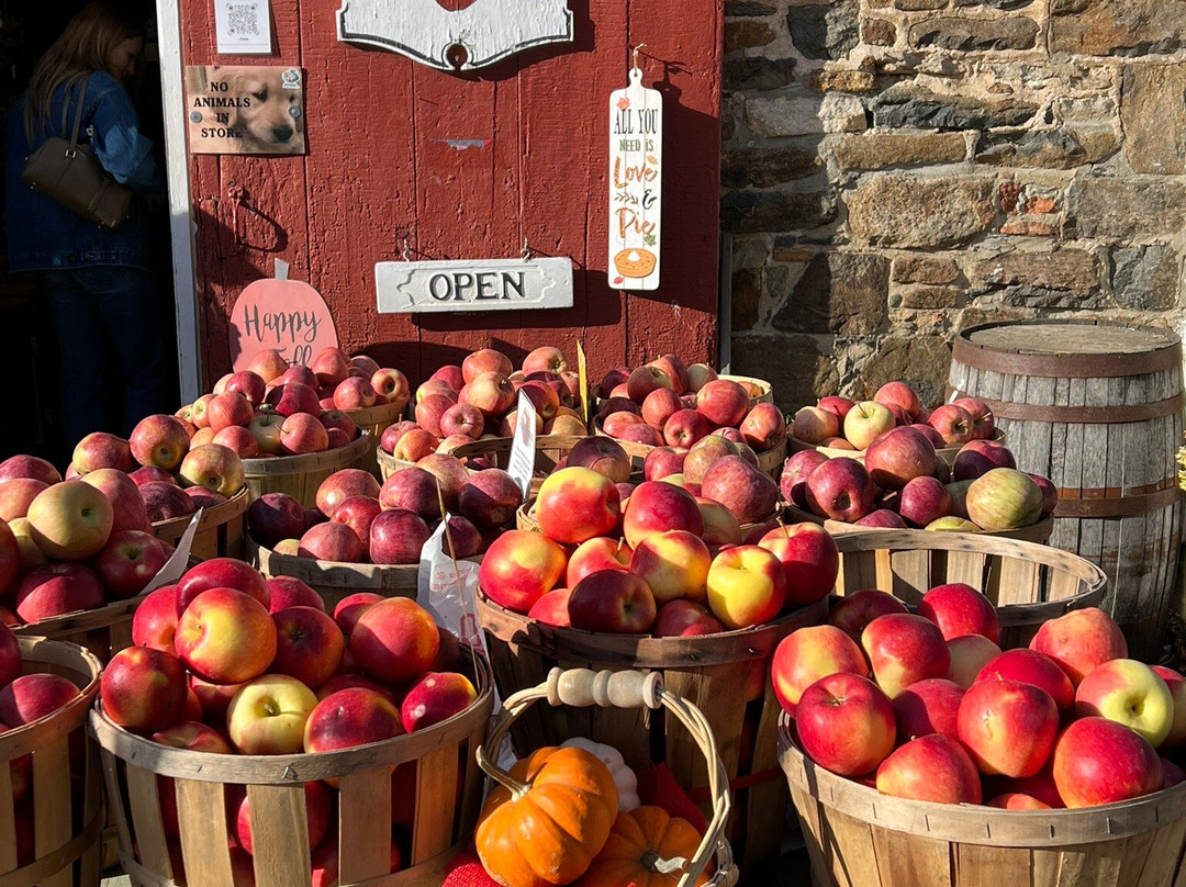 Hacklebarney Farm Cider Mill景点图片