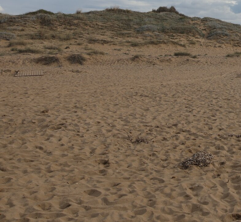 Spiaggia di Is Arenas-Narbolia必去景点