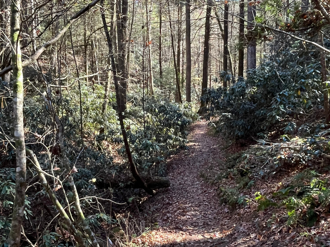 Rock Bridge Trail #207-Slade必去景点