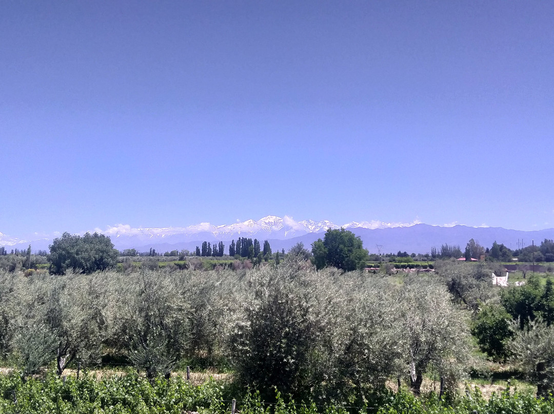 Mevi Bodega Boutique-Maipu必去景点