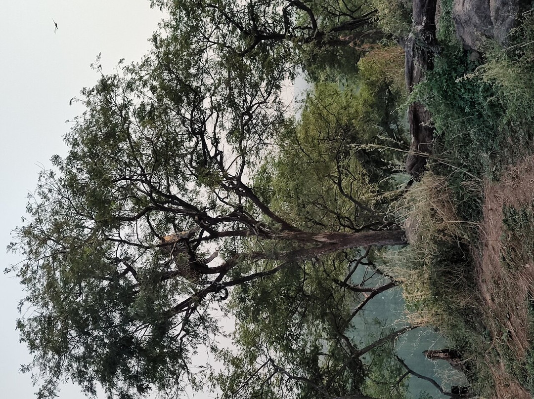 Find 24景点图片
