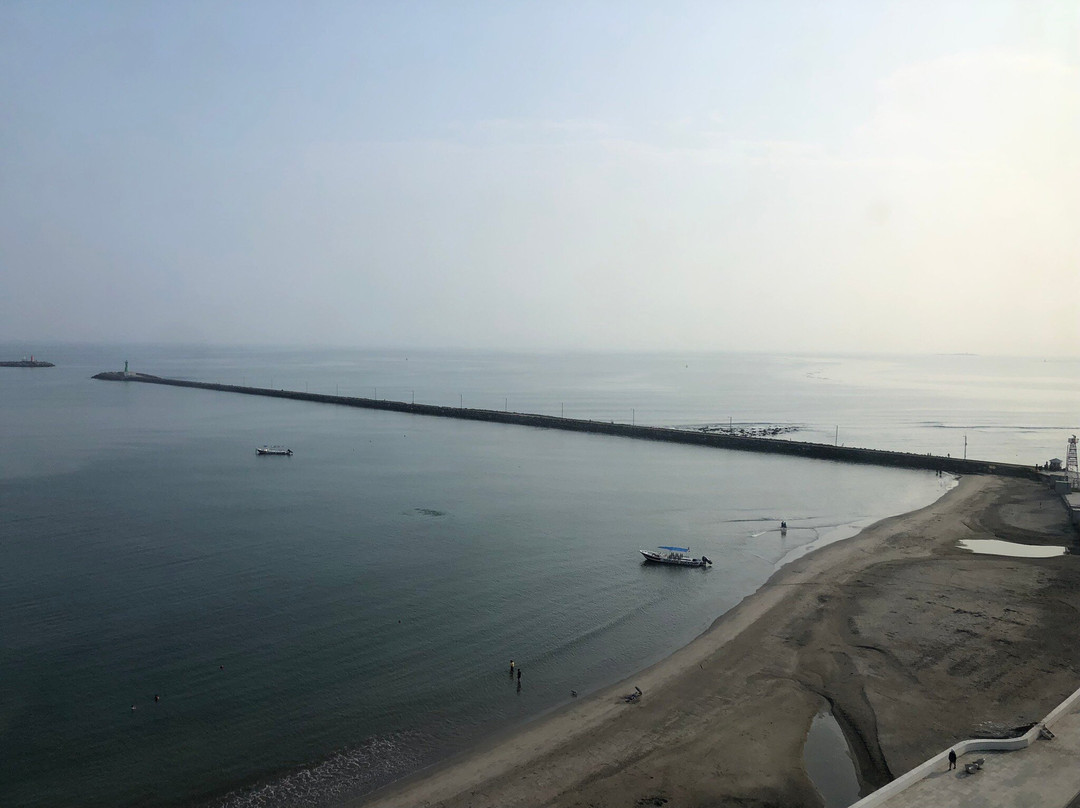 Doubletree By Hilton Veracruz主图