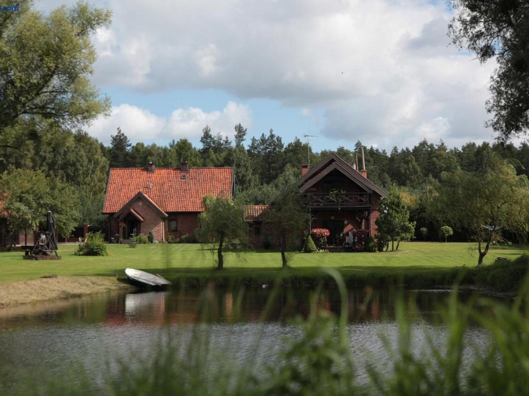 Orlik Mazury