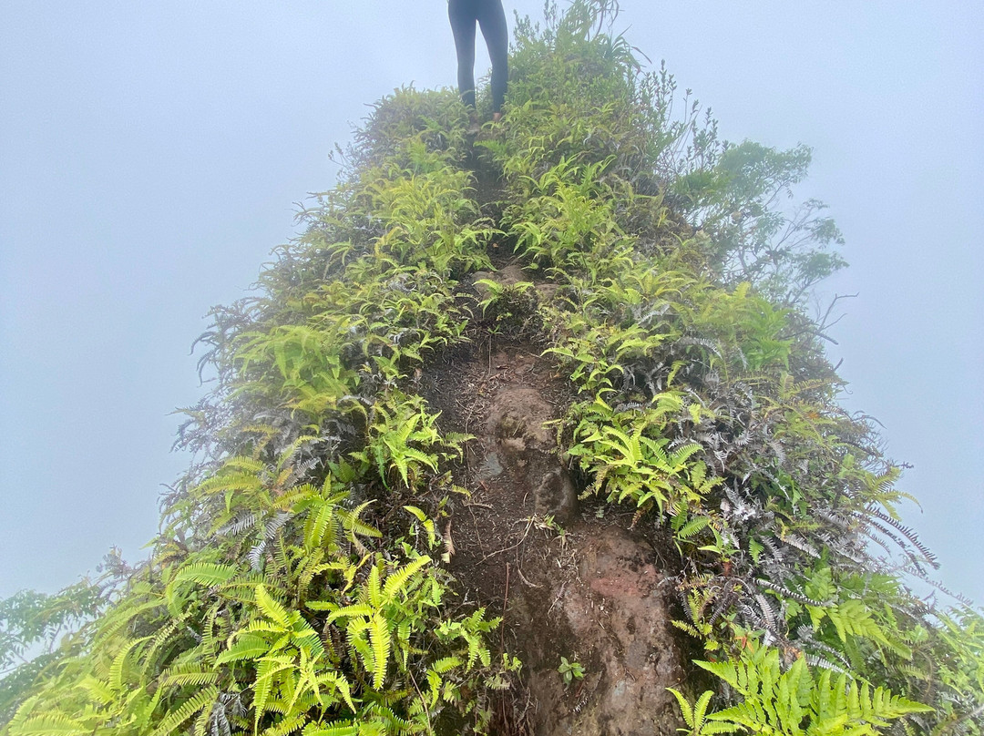Mt. Rotui景点图片