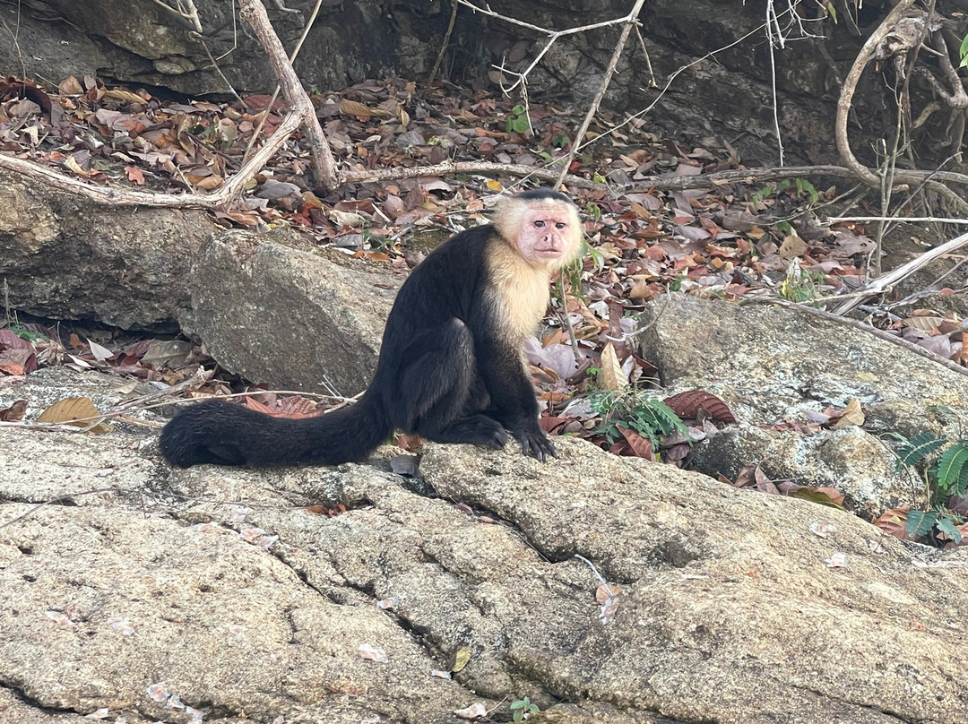 Panama Experience Tours景点图片