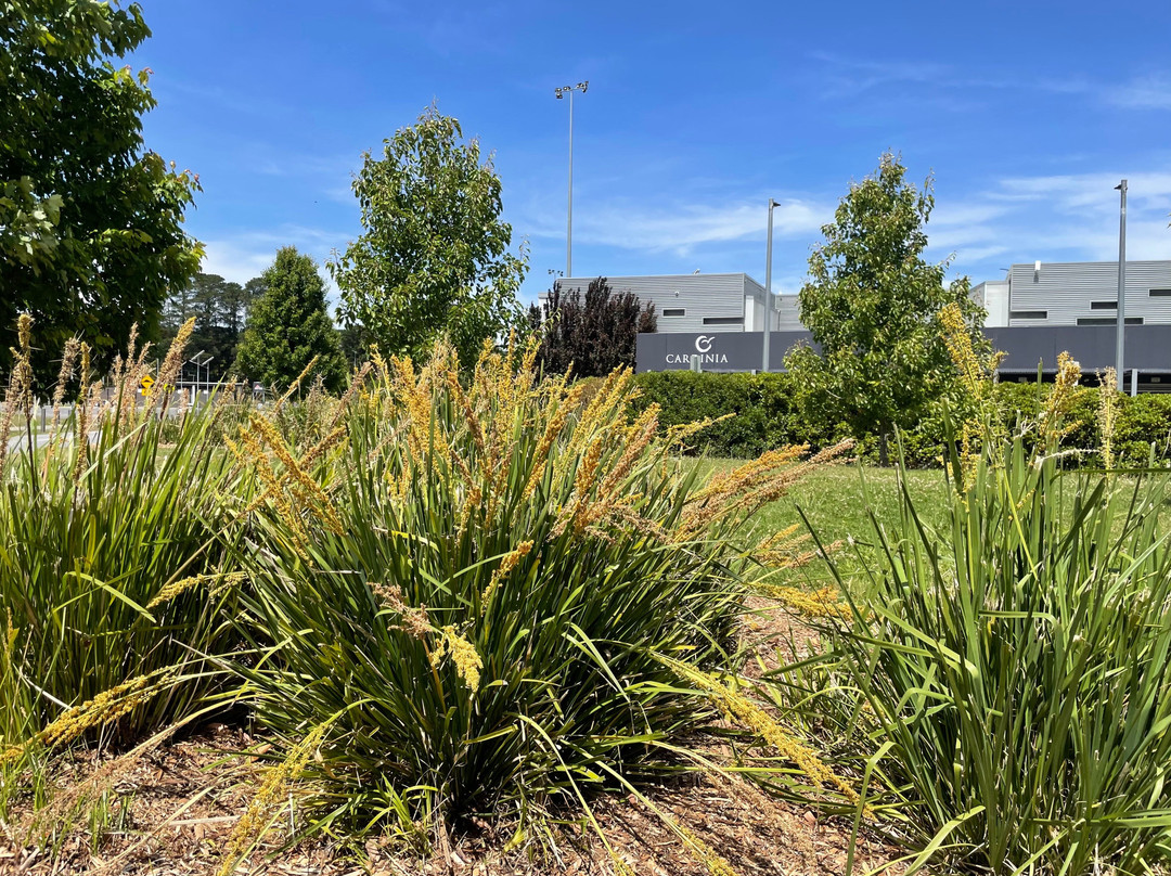 Holm Park Reserve-Beaconsfield必去景点