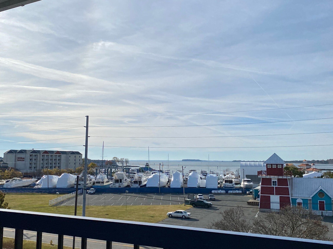 Best Western Kent Narrows Inn主图