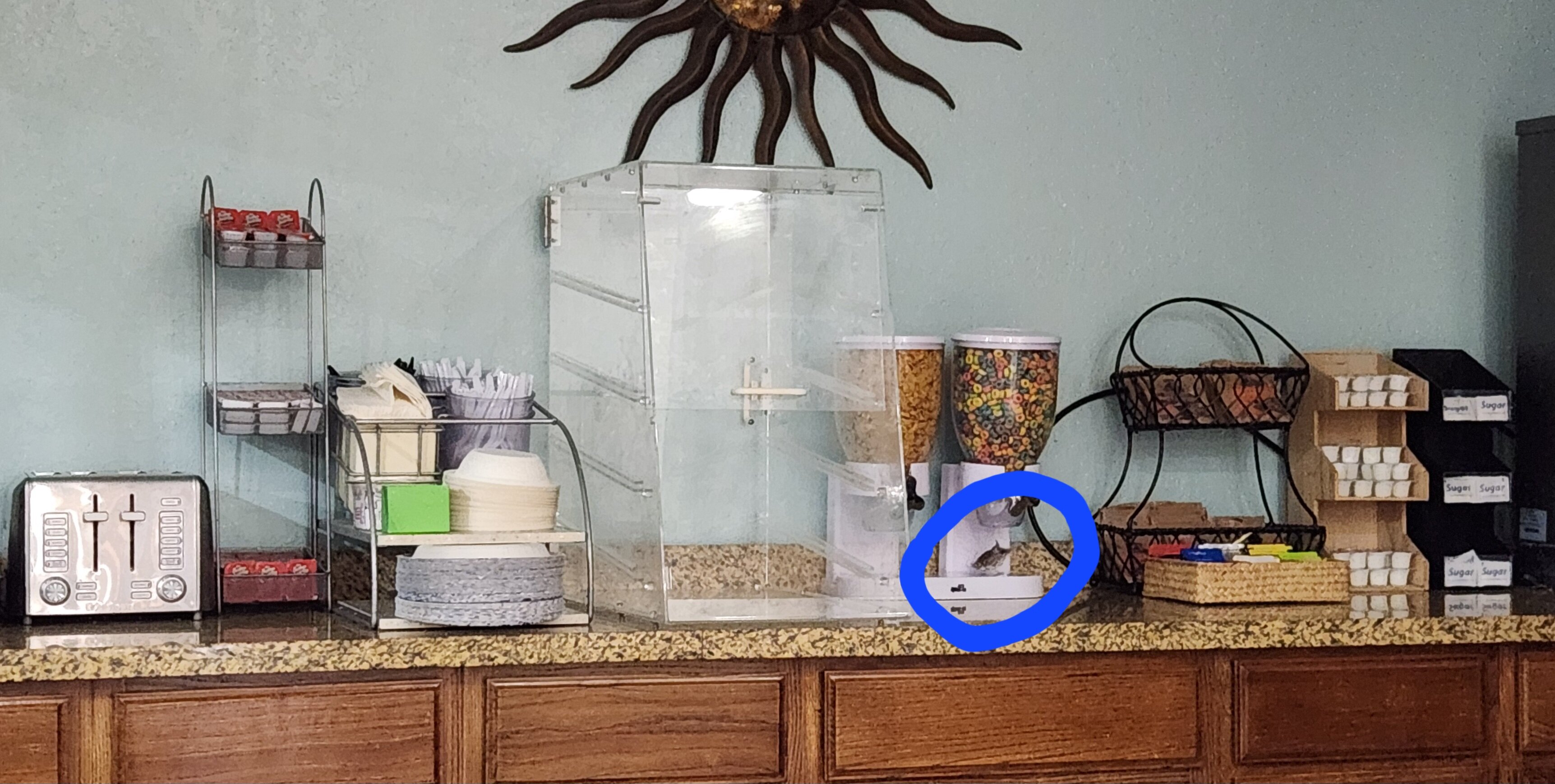 Wingate By Wyndham Eagle Vail Valley-官方