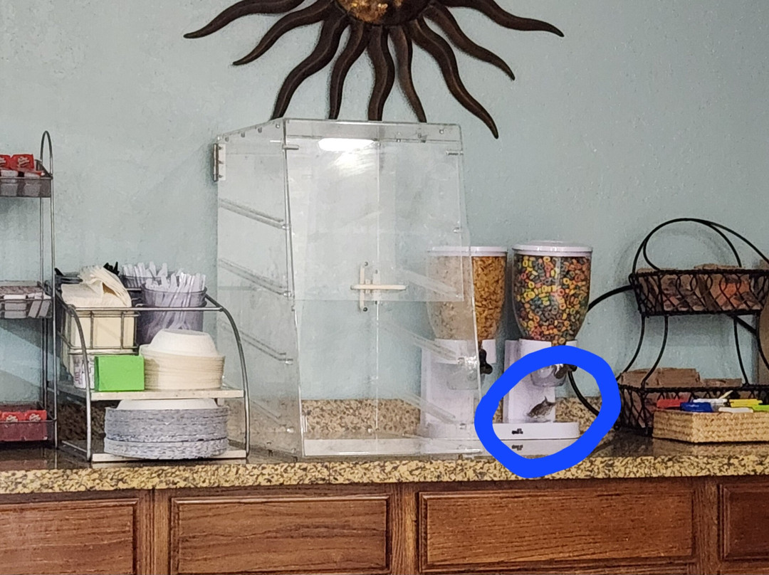 Wingate By Wyndham Eagle Vail Valley主图