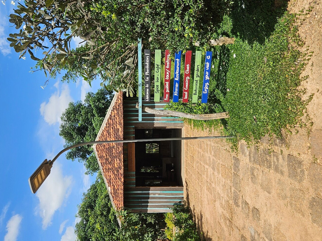 胡椒种植园-贡布必去景点