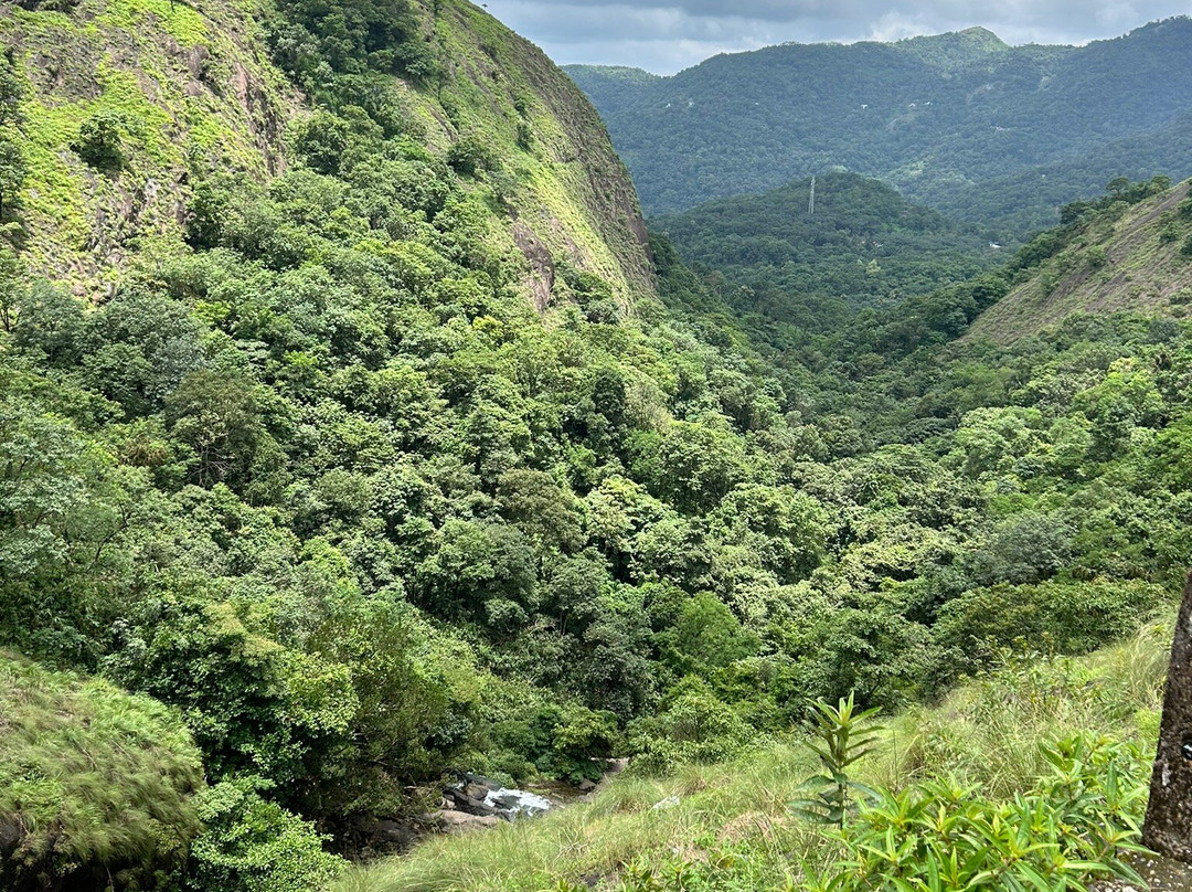 Kattikkayam Waterfalls-科塔亚姆必去景点