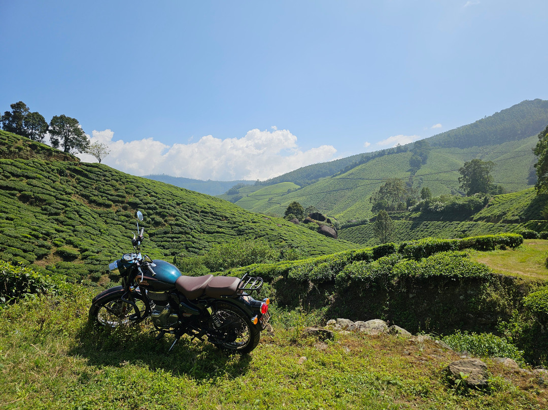 Expedour Bike Tours景点图片