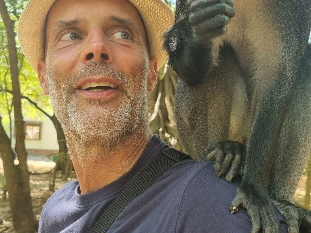 Thomas Tours & Safaris - Private Day Tours-瓦塔木必去景点