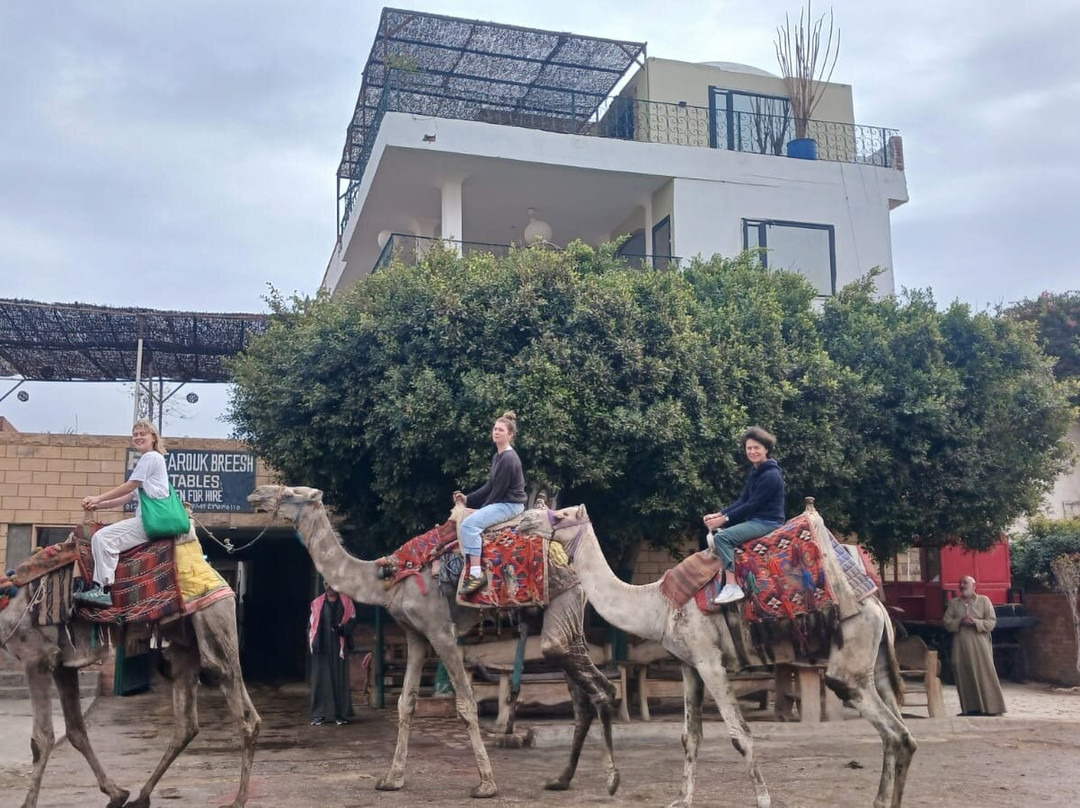 Fb Stables-吉萨必去景点