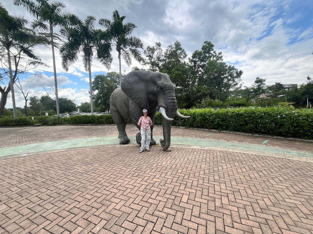 Bioparque Ukumarí-佩雷拉必去景点