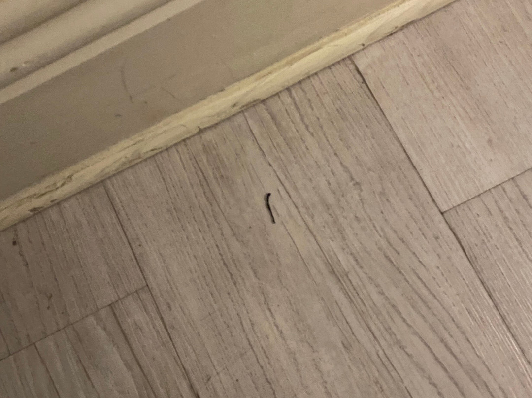 Harbour House Hotel主图