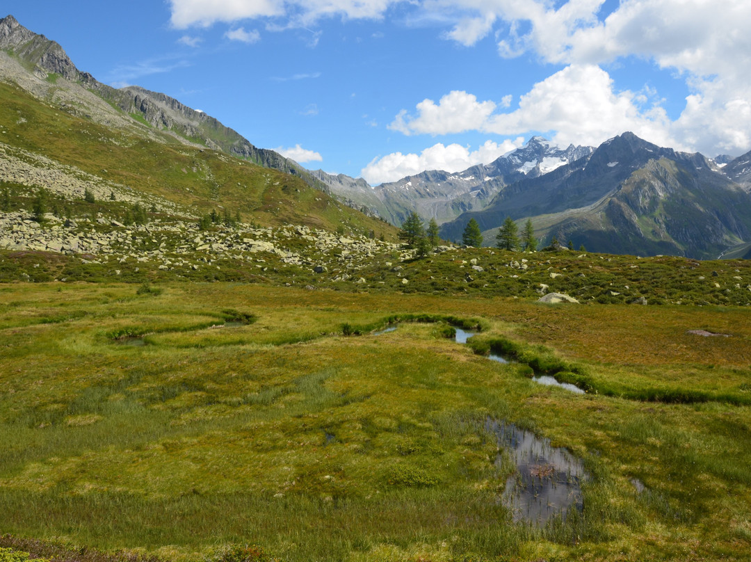 Wieser Werfer Moos Biotopo景点图片