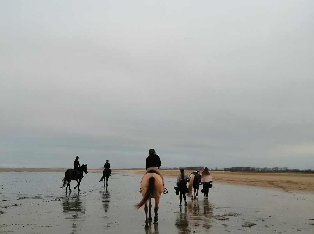 Grand Galop Rennes景点图片