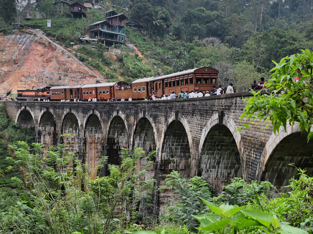 Tinol Tours Sri Lanka景点图片