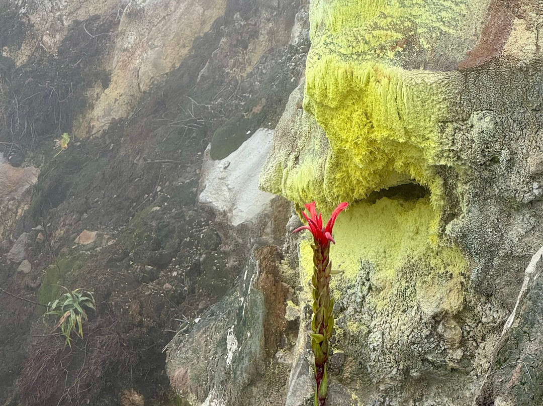 Symbiose Caraibes-Saint-Claude必去景点