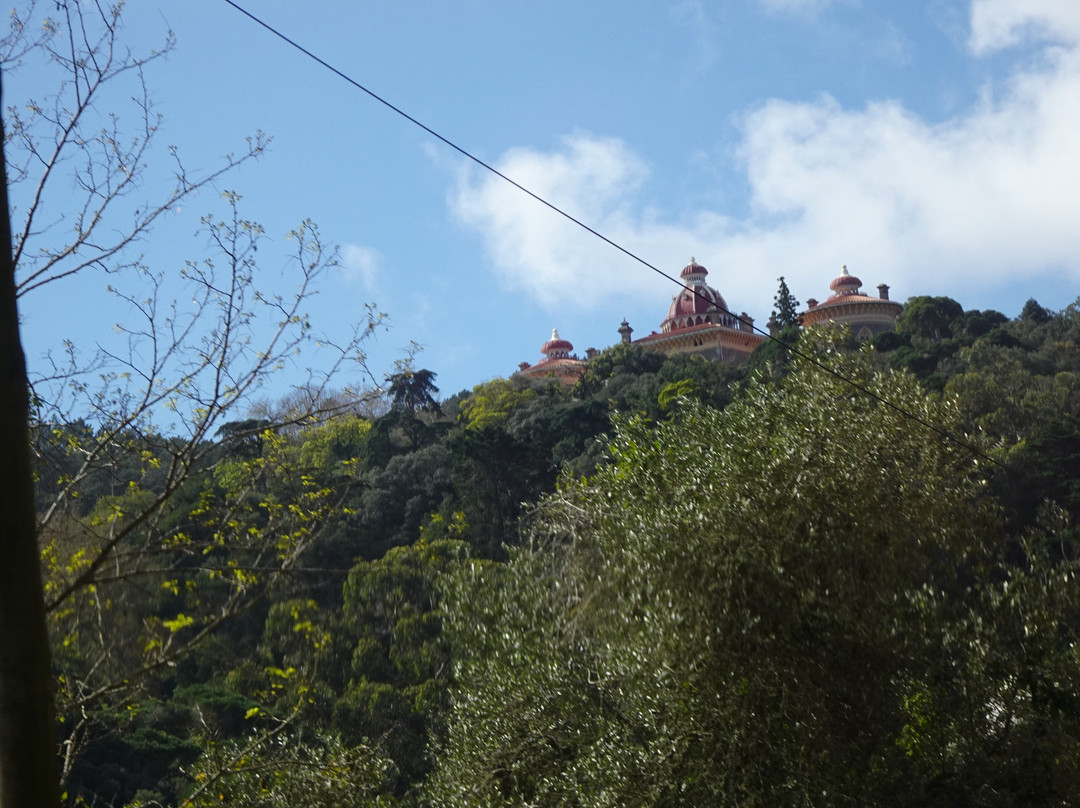 Sintra Tram景点图片